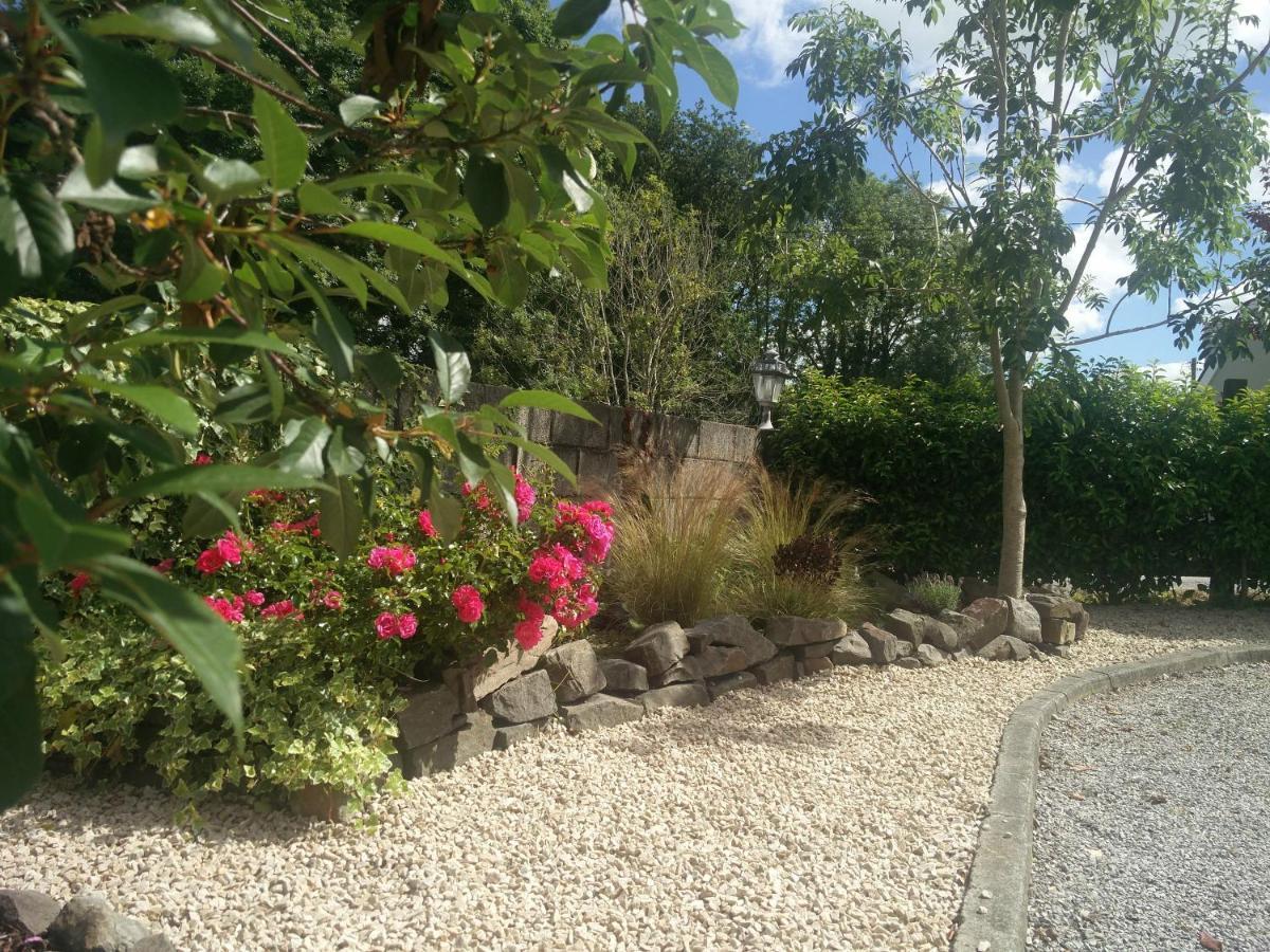 Foxhollow House Blarney Buitenkant foto