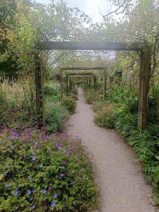 Foxhollow House Blarney Buitenkant foto