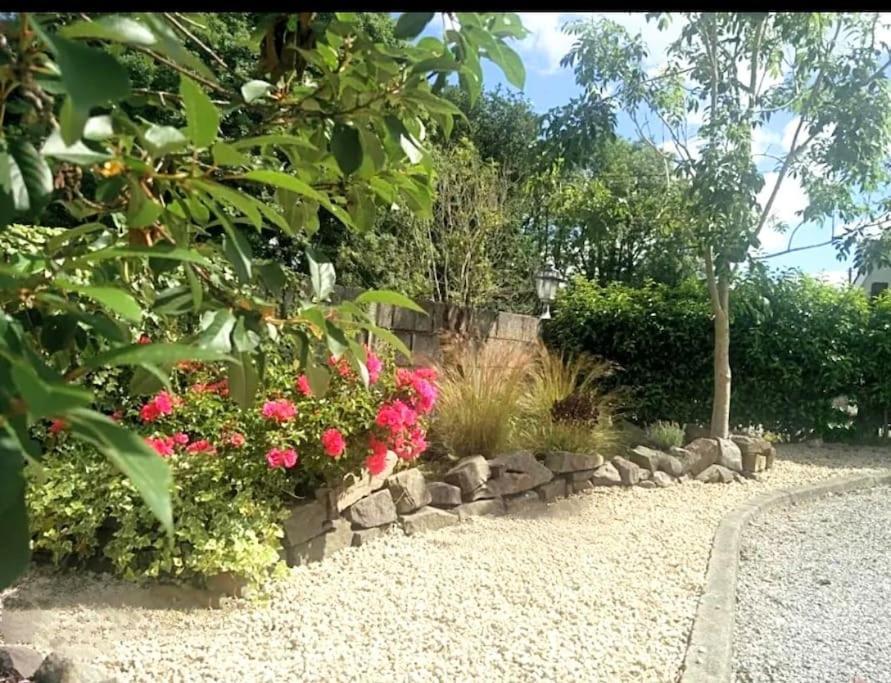 Foxhollow House Blarney Buitenkant foto