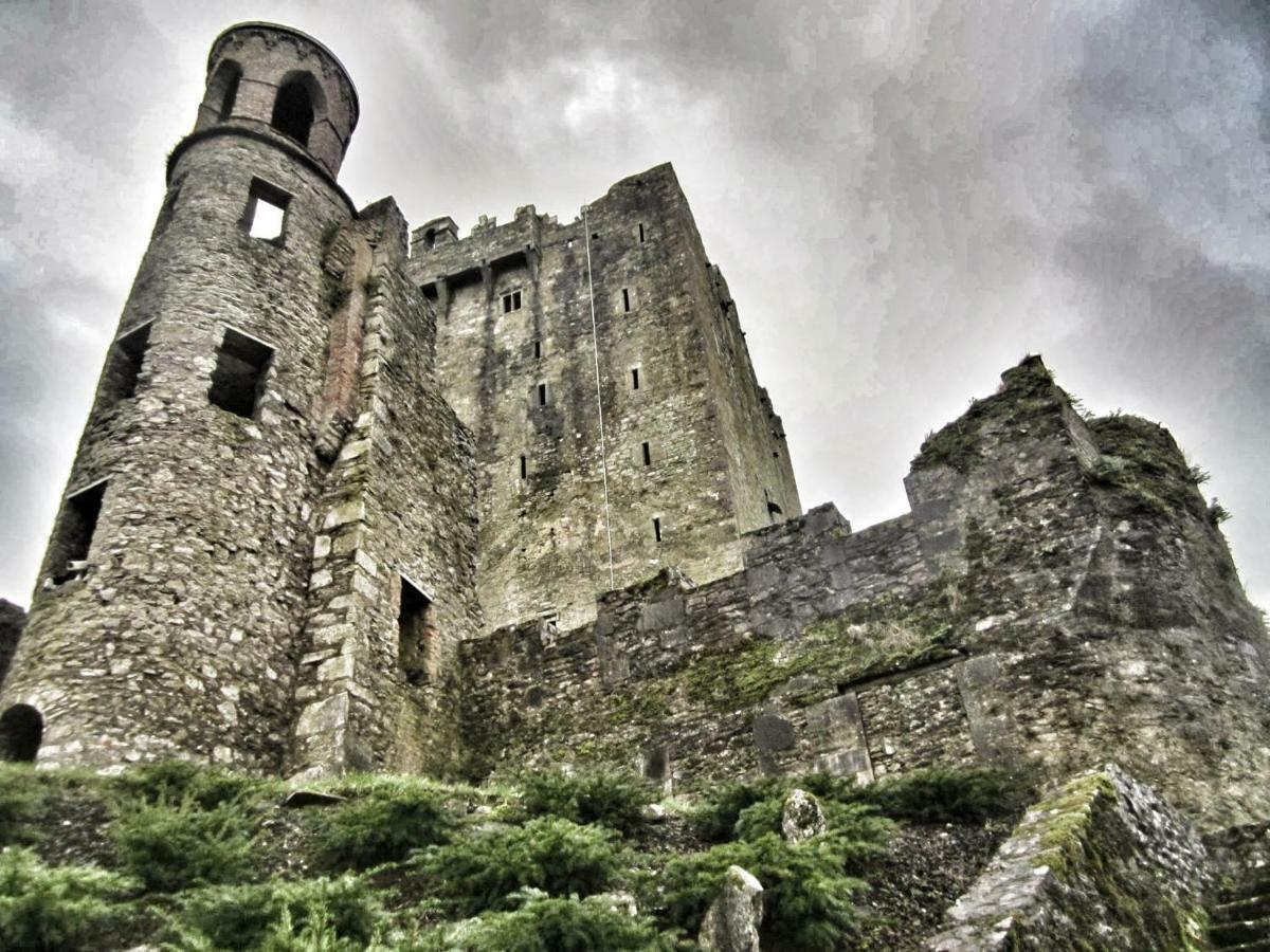 Foxhollow House Blarney Buitenkant foto